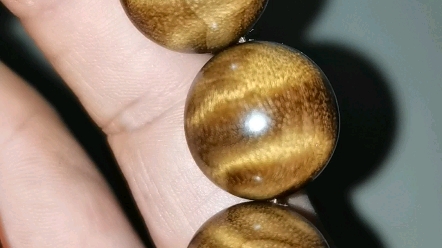金丝楠金丝怎么是白色的