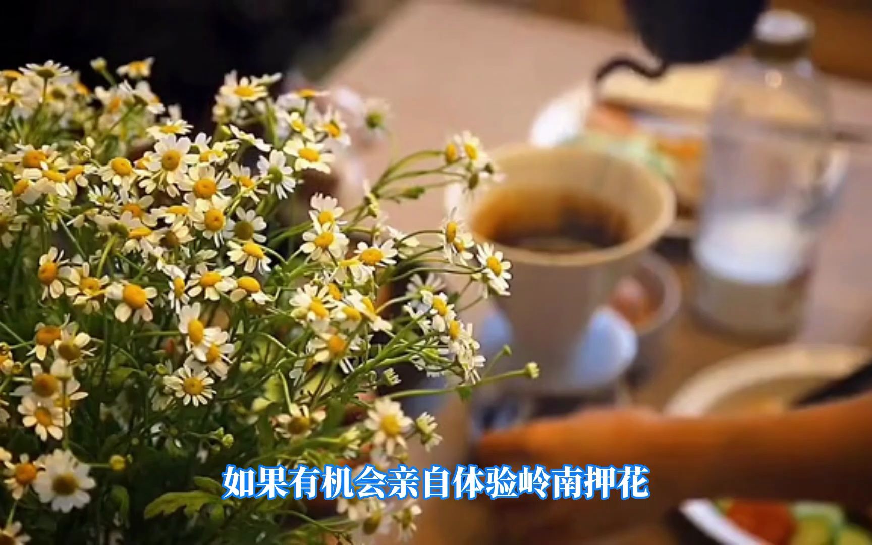 什么是岭南押花艺术?哔哩哔哩bilibili