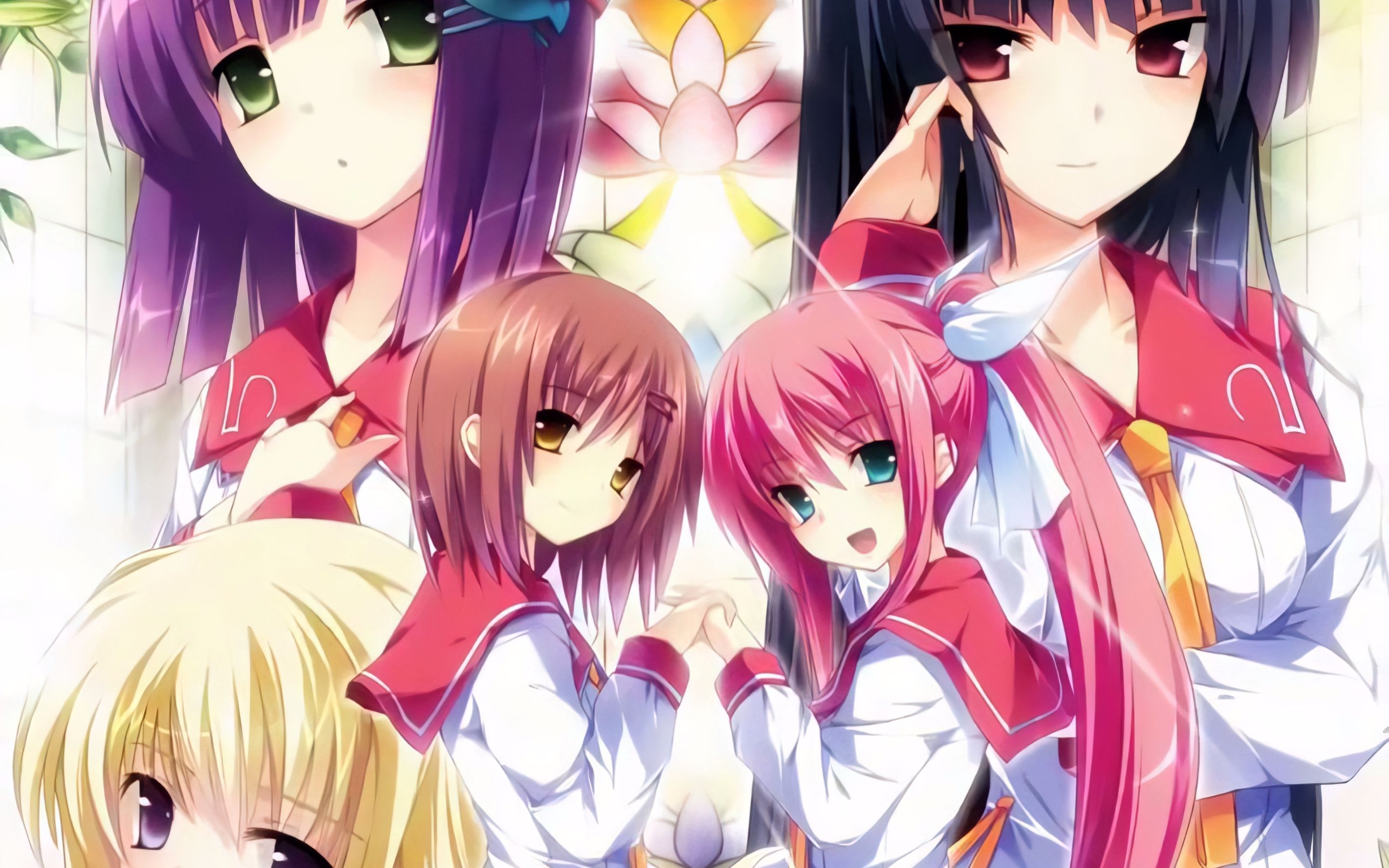 【4k 60/120fps】花と乙女に祝福を op