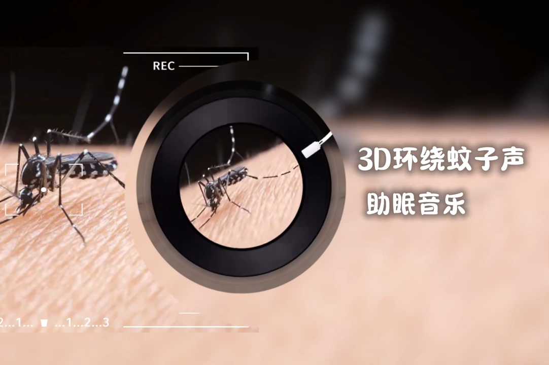 夏天来了，听听蚊子3D环绕声音