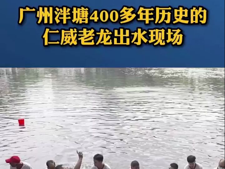 起龙仪式!广州泮塘400多年历史的仁威老龙出水,现场气氛热闹非凡哔哩哔哩bilibili