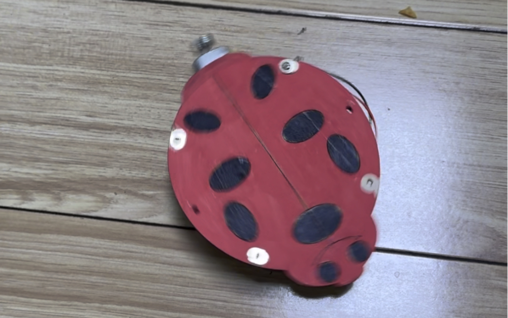 我的小制作之电动瓢虫