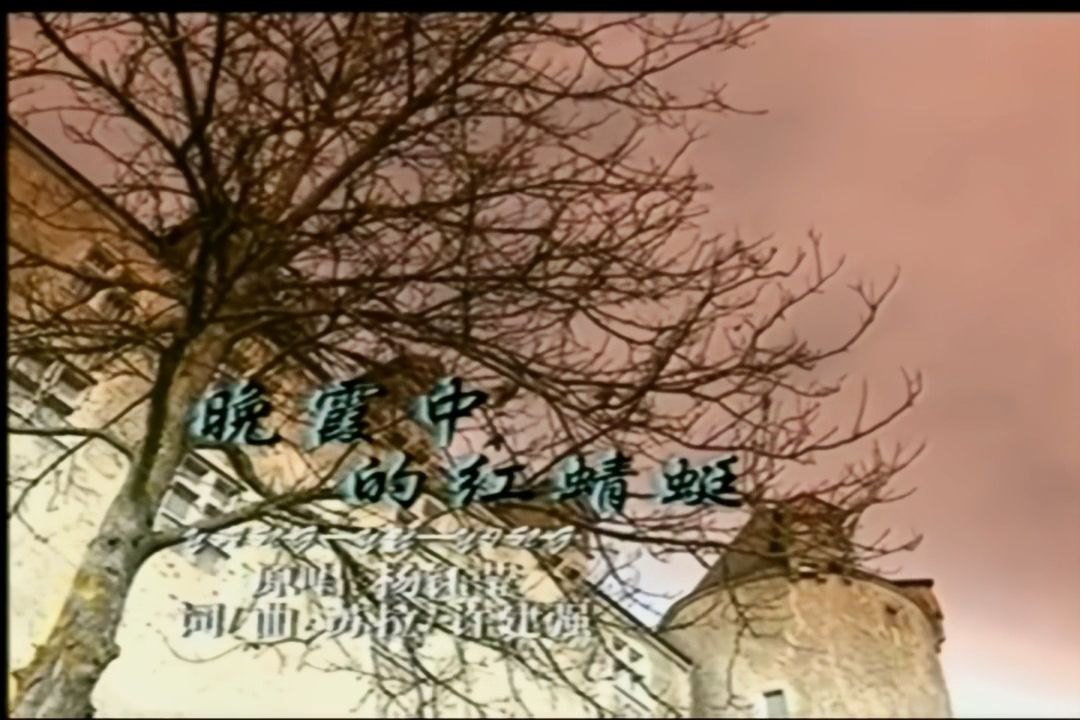 [图]《晚霞中的红蜻蜓》怀旧经典老歌经典歌曲MV -  杨钰莹