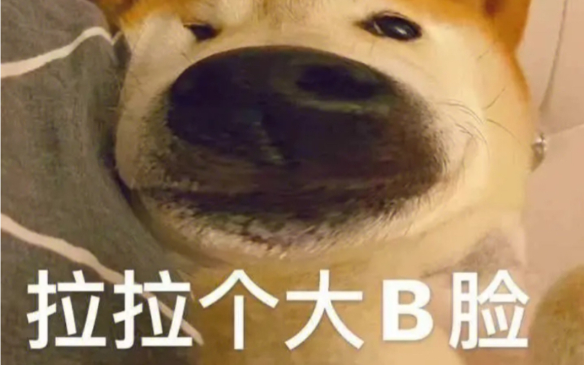 [图]重生之我是赌dog