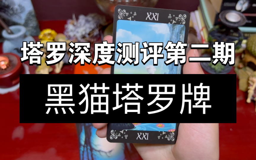 塔罗深度测评第二期:黑猫塔罗牌black cat tarot