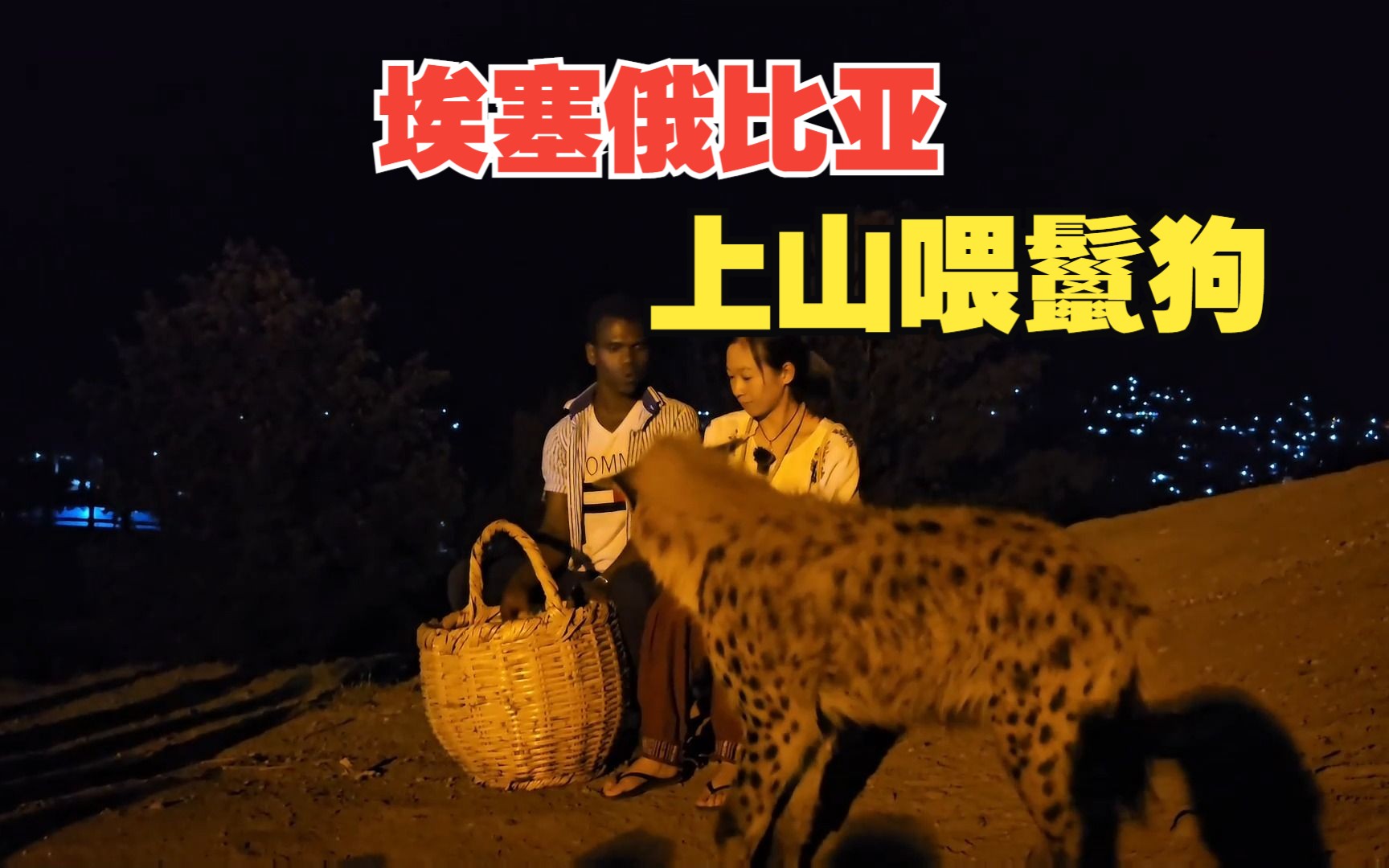 在埃塞俄比亚的另类体验,大晚上跑到山顶喂鬣狗,感觉好刺激啊!