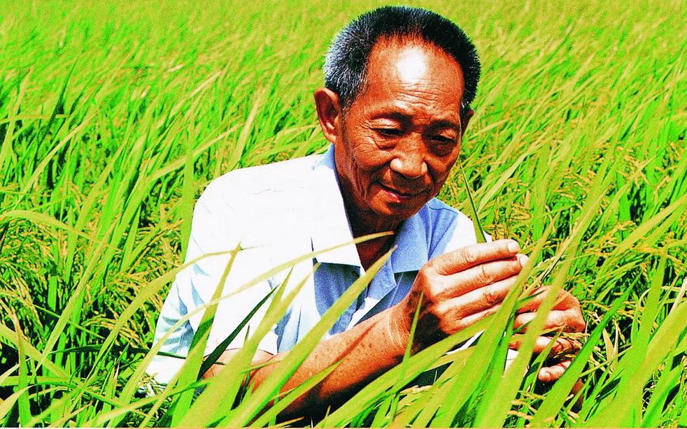 [图]【生物大师 初中】育种——当代神农