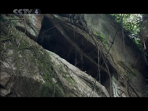 【纪录片】探秘秦朝五尺道 上-下-两集全-探索发现系列