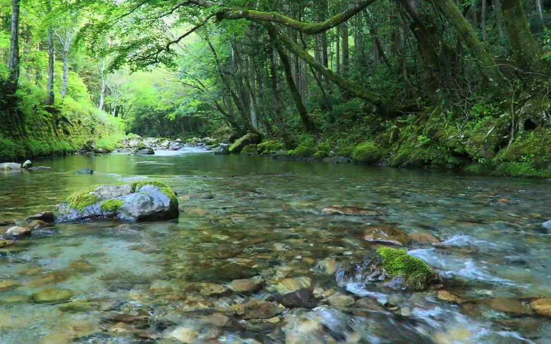 【令人治癒的自然聲音】5小時 泉水鳥鳴 助眠/學習/白噪音