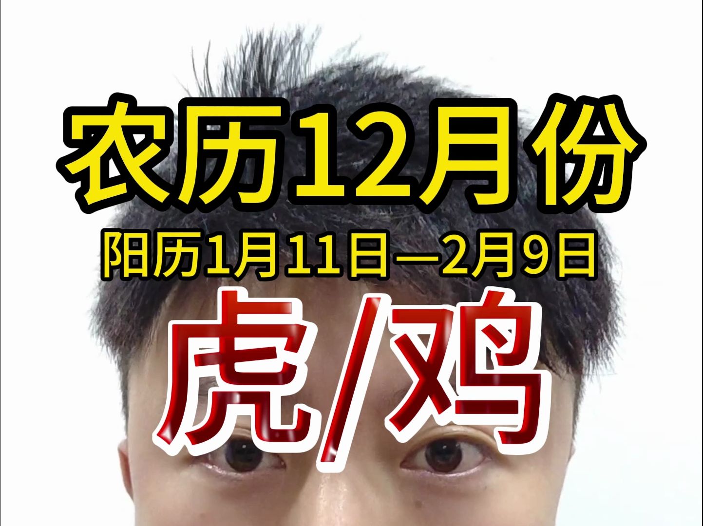 属鸡虎年生肖运势查询表(属鸡虎年运势及运程)