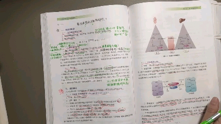 【生物化学&病理生理学】血氨的来源有哪些?肝功能不全怎样导致血氨升高?哔哩哔哩bilibili