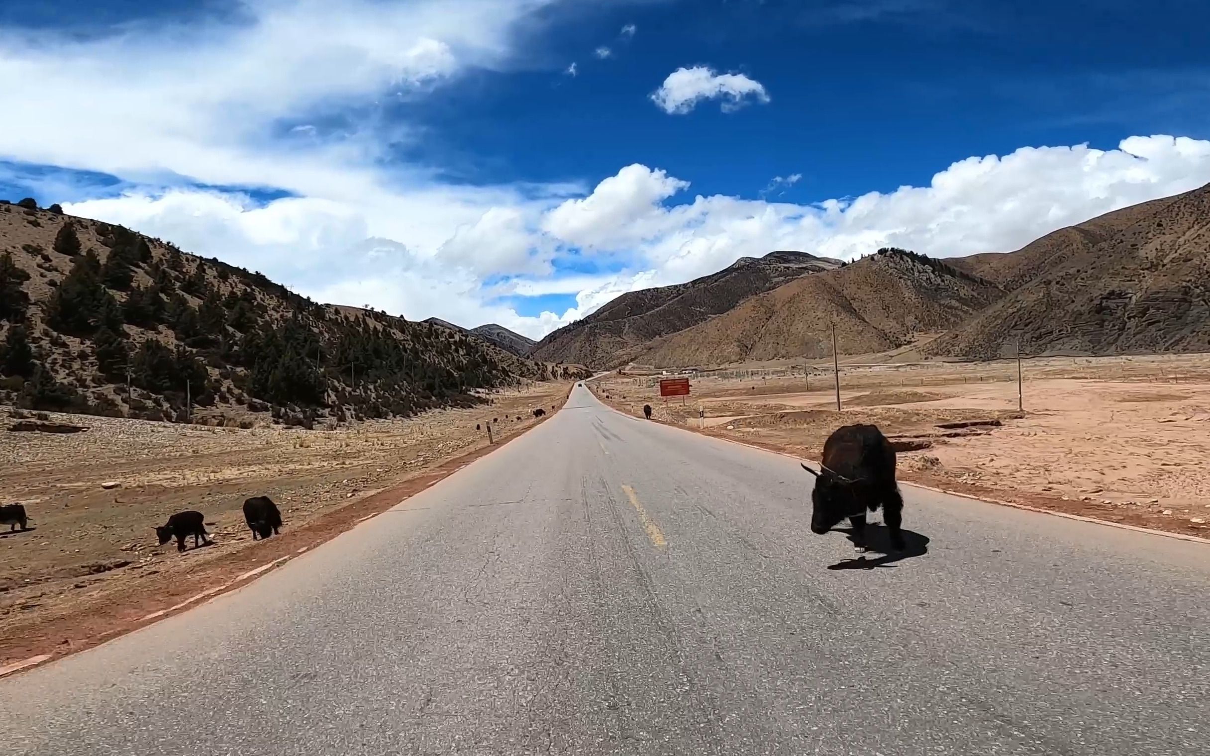 公路车骑行318川藏/d10:左贡——邦达