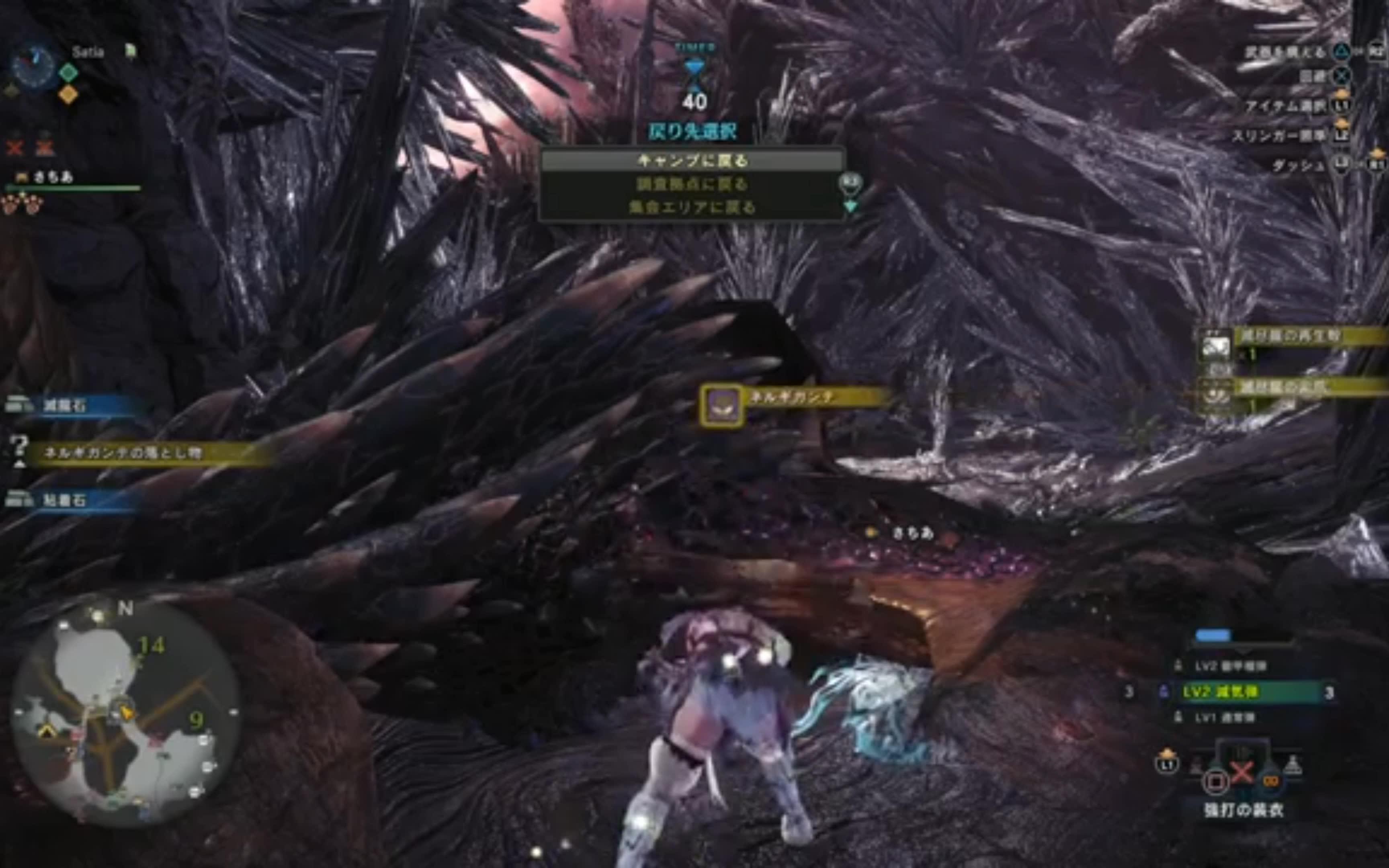 【转】MHW 历战灭尽龙 重弩定番(无扩散弹及爆弹)哔哩哔哩bilibili