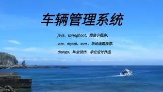 计算机毕业设计选什么题目好？springboot 车辆管理系统