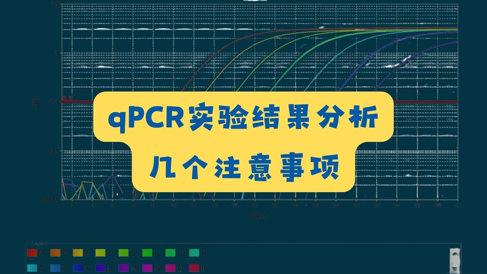 qPCR实验结果分析的几个注意事项哔哩哔哩bilibili