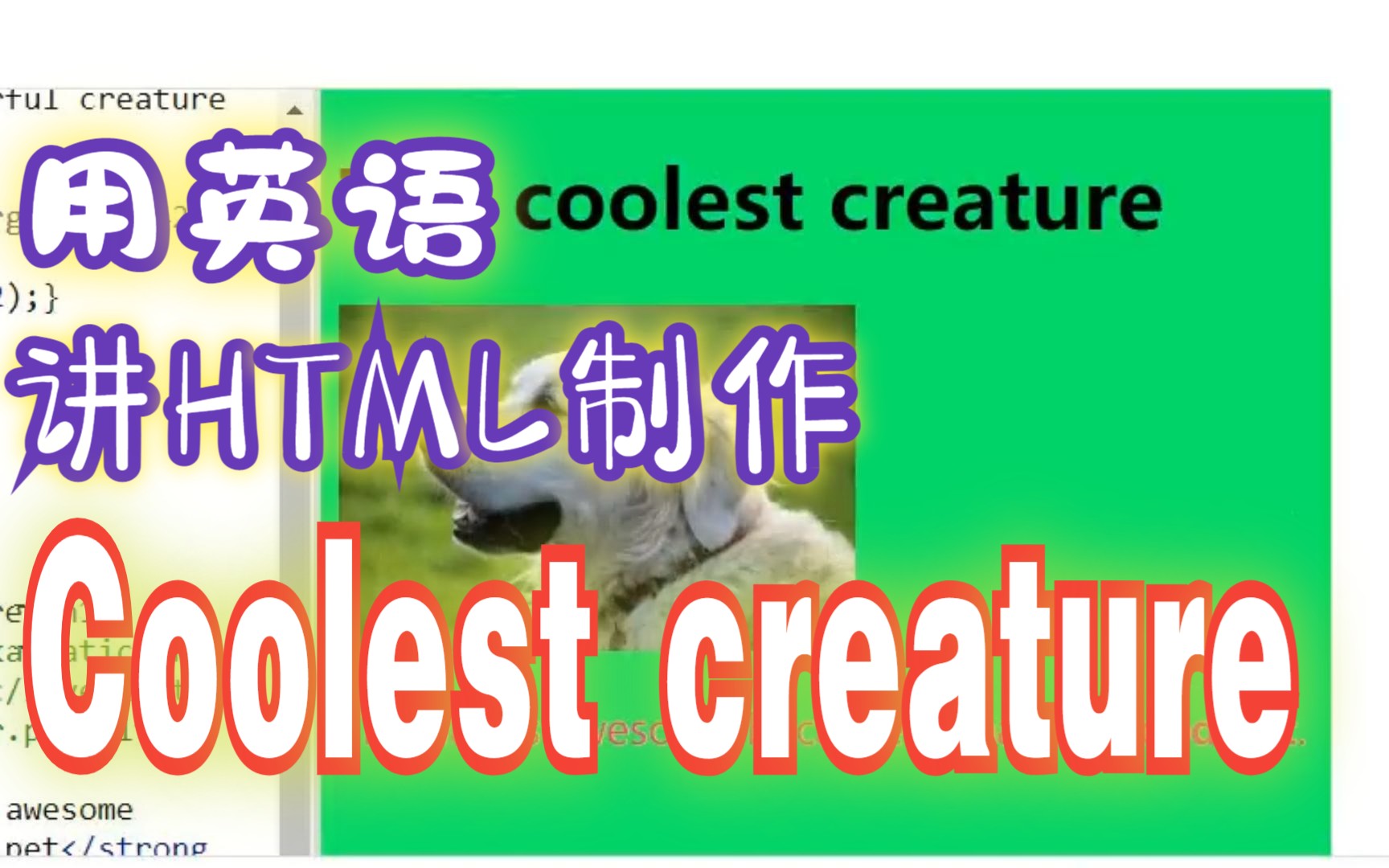 20用英语讲JAVA编程:Challenge:Colorful creature哔哩哔哩bilibili