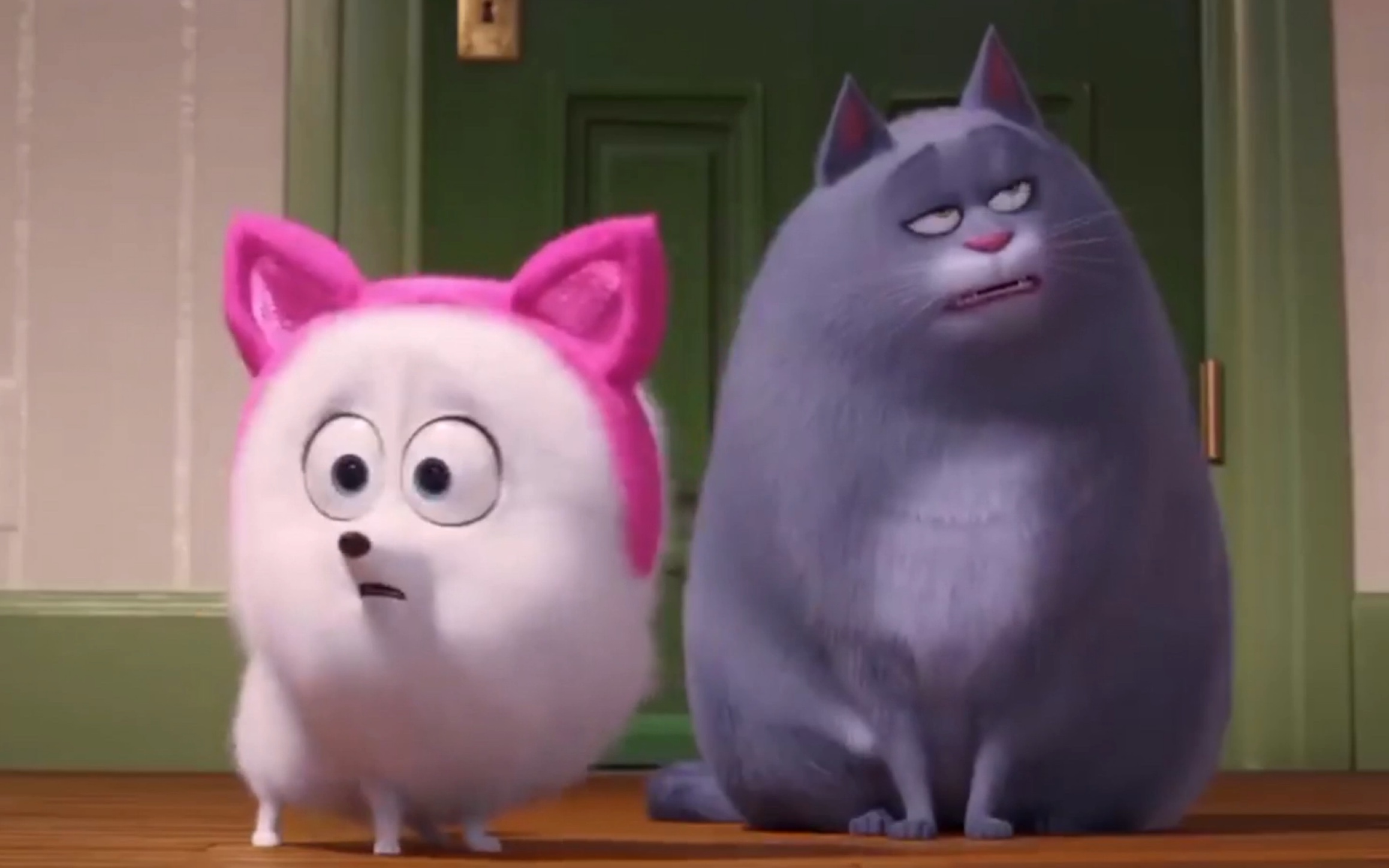 【srrx|云次方】郑云龙与猫的适配度 第一弹 (又名梅溪湖大机密)