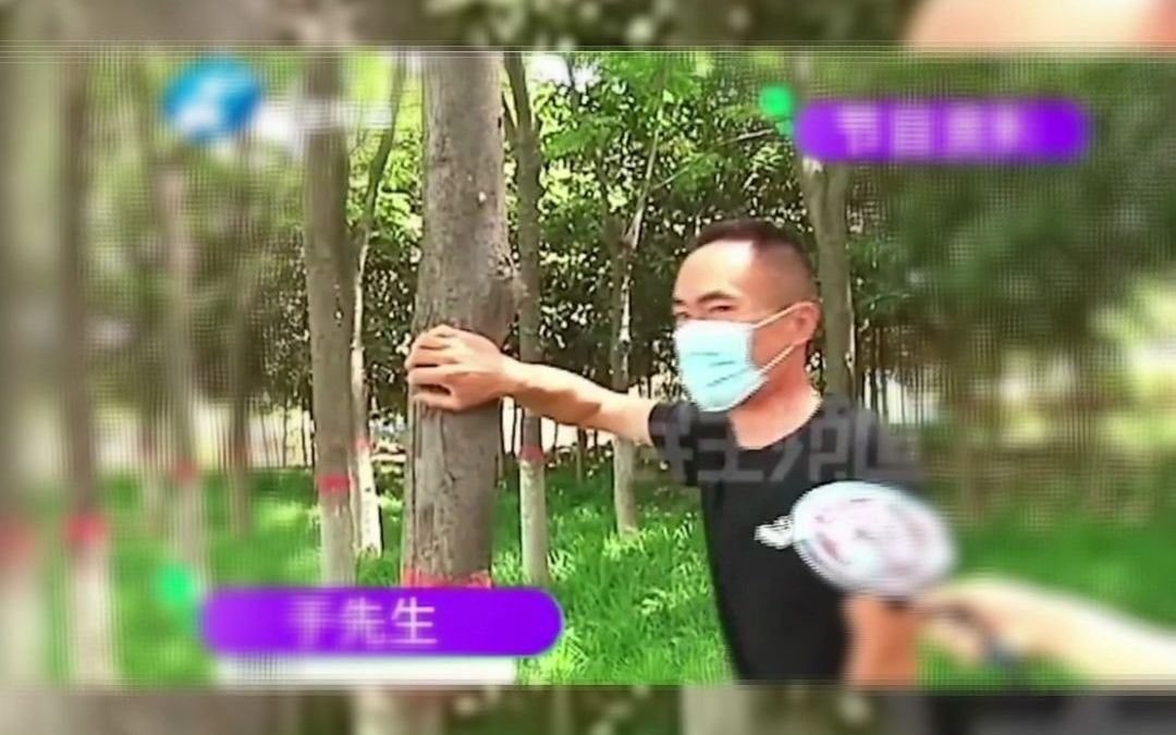 南京律师:河南周口新娘收完彩礼走完结婚仪式后消失哔哩哔哩bilibili