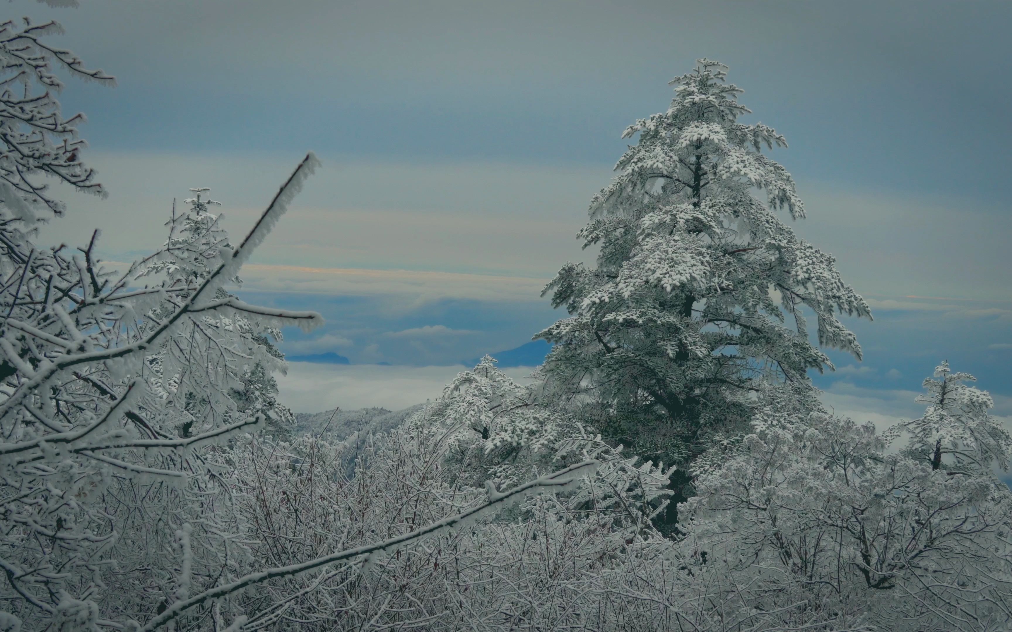 索尼相机拍雪景参数图片