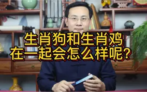 Video herunterladen: 龙吟师傅：生肖狗和生肖鸡在一起会怎么样呢？