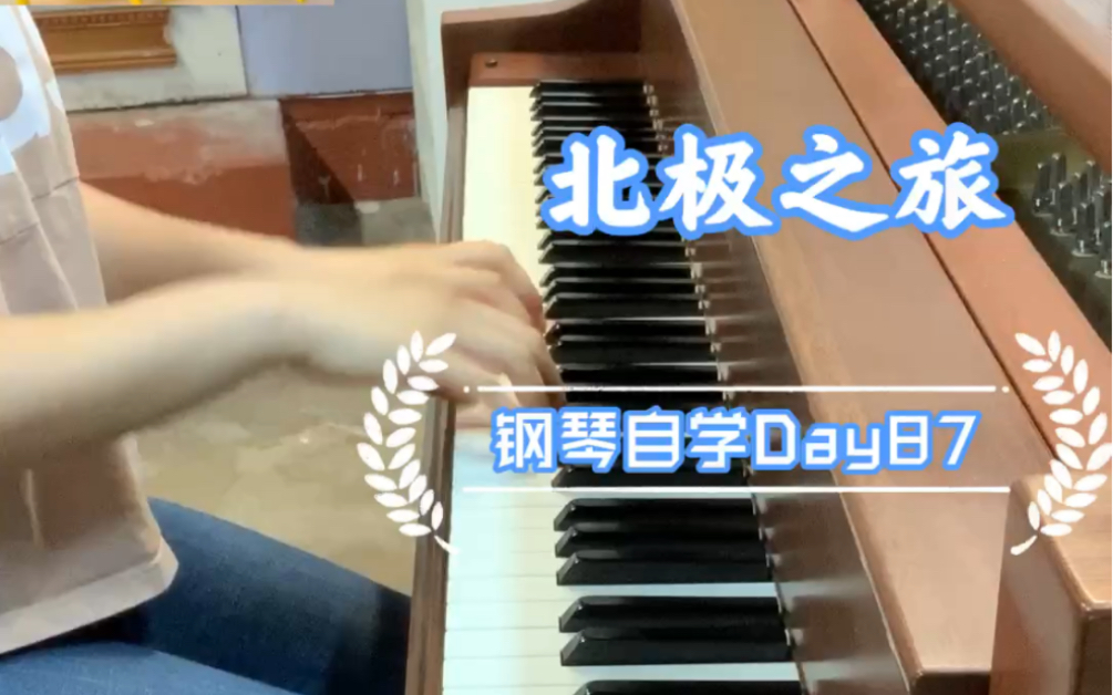 北极之旅|大汤2|驾着雪橇参观冰宫殿的奇妙旅程