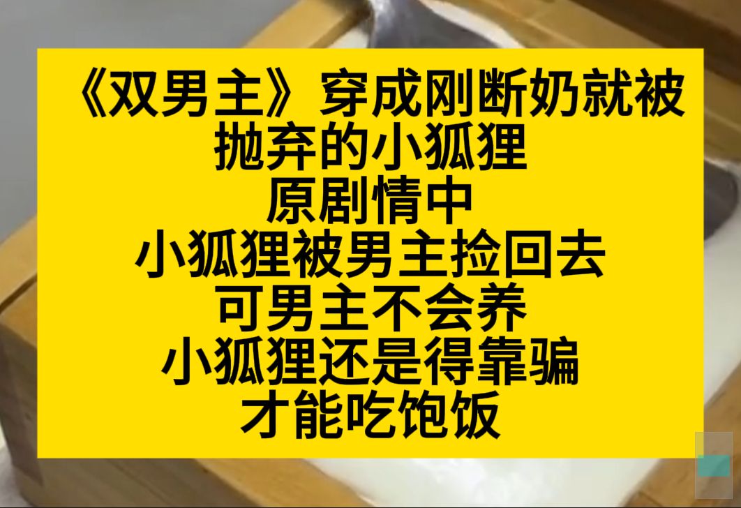 双男主 穿成刚断奶就被抛弃的小狐狸,我靠马扁才能吃饱饭,却因此被……小说推荐哔哩哔哩bilibili