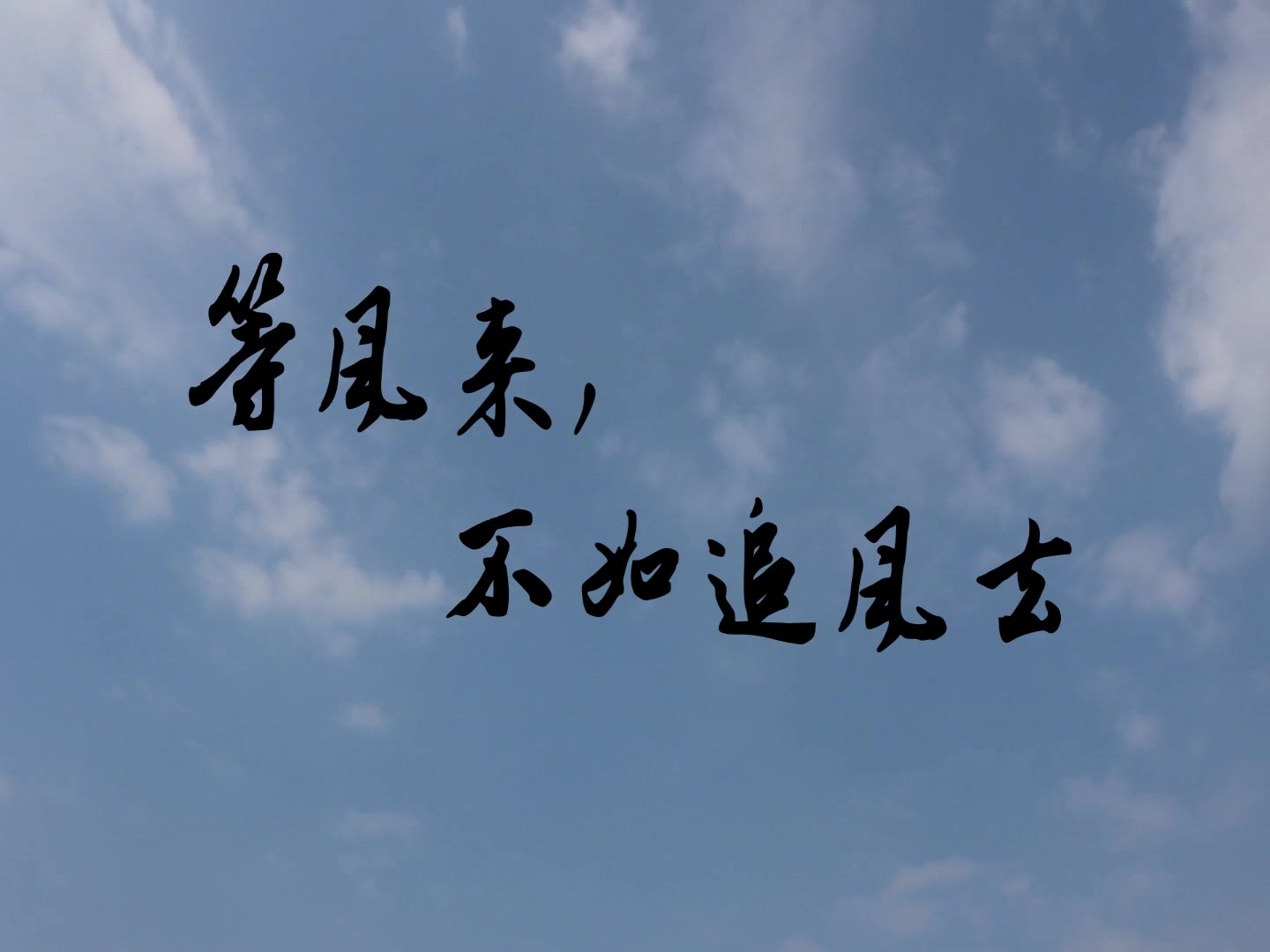 等风来_哔哩哔哩_bilibili