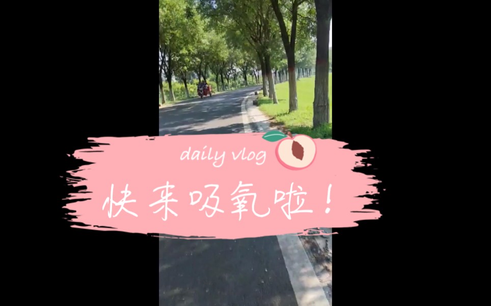 快来看黄河大堤美景啦!哔哩哔哩bilibili