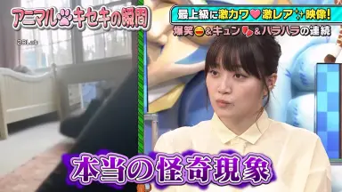 深川麻衣 君の名は希望 ヨリ ヒキ