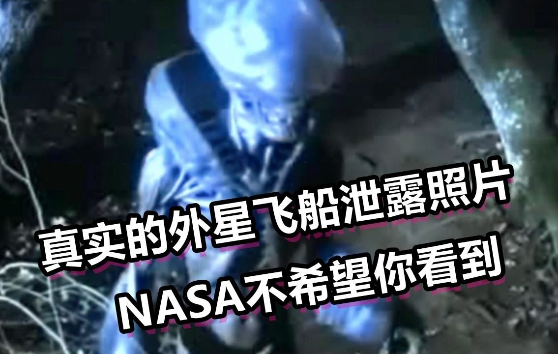 真实的外星飞船泄露照片,NASA不希望你看到哔哩哔哩bilibili