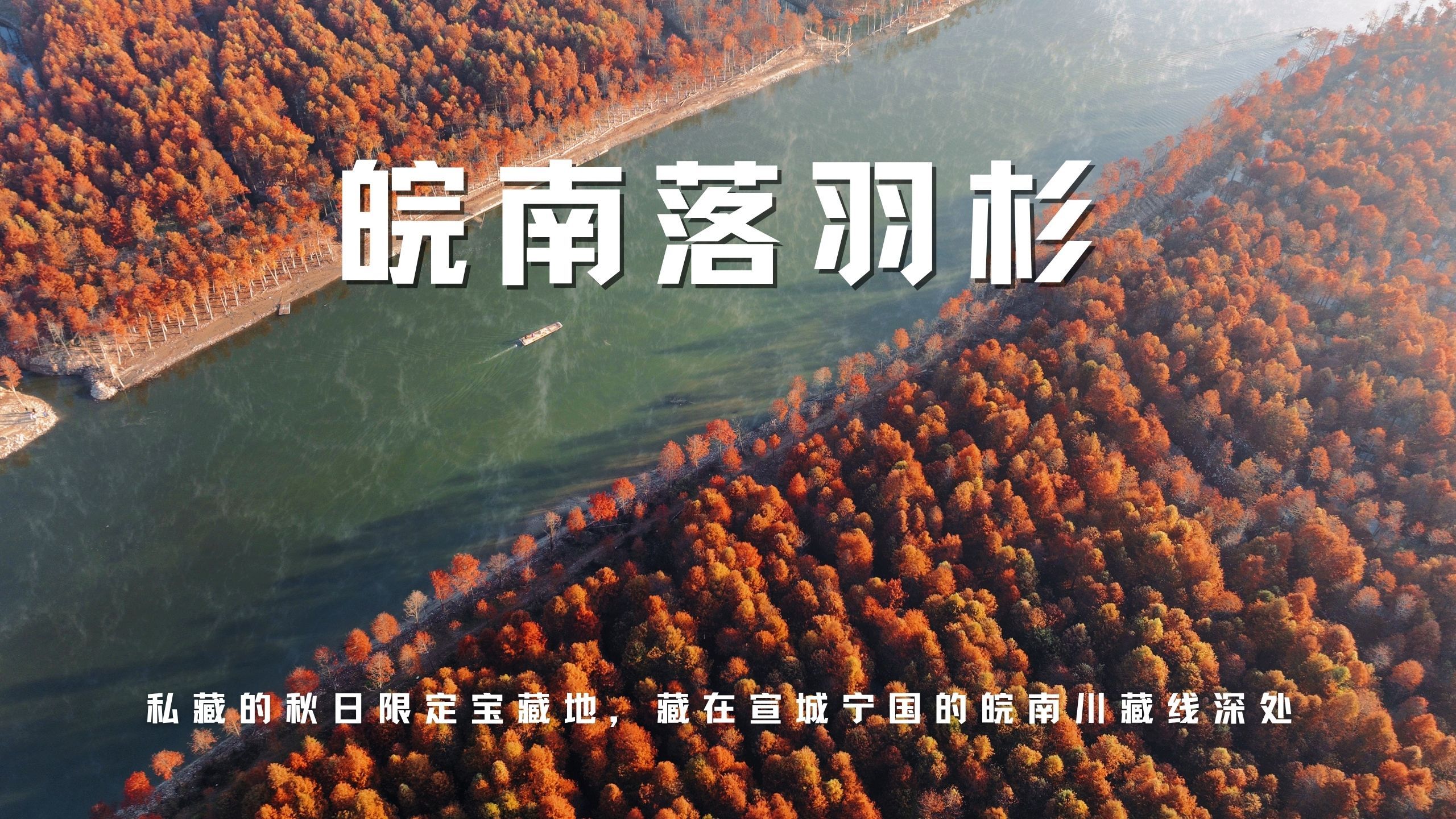 私藏的秋日限定宝藏地，藏在宣城宁国的皖南川藏线深处，皖南深秋的红杉林美到失语-极客枫暴