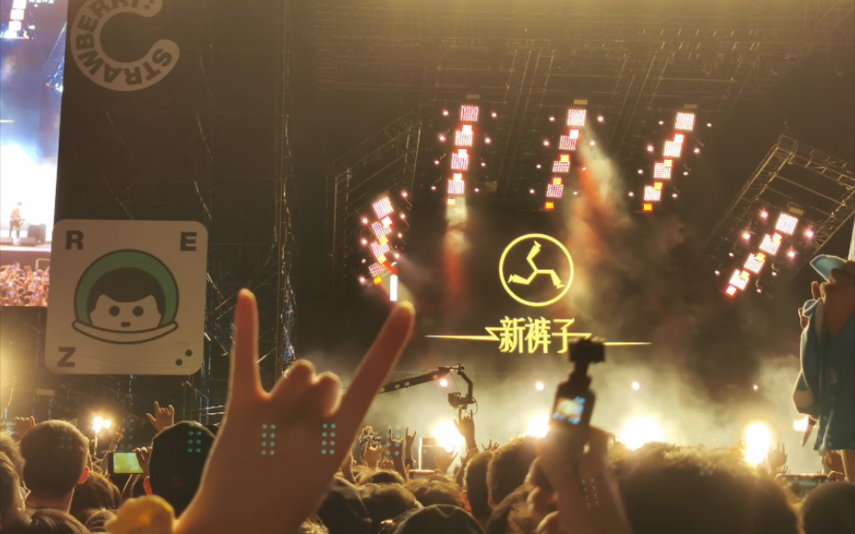 2021草莓音乐节新裤子乐队你你你你要跳舞吗