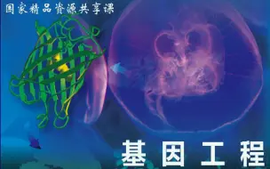 Descargar video: 基因工程-湖南师范大学(精品课)