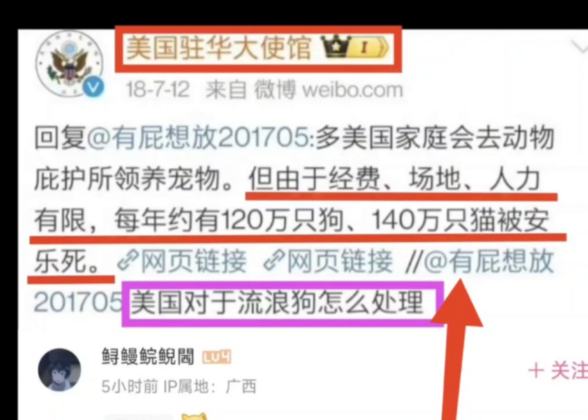 美国驻华大使馆教你《动保》——每年260万只猫狗被美国“安乐死”.哔哩哔哩bilibili