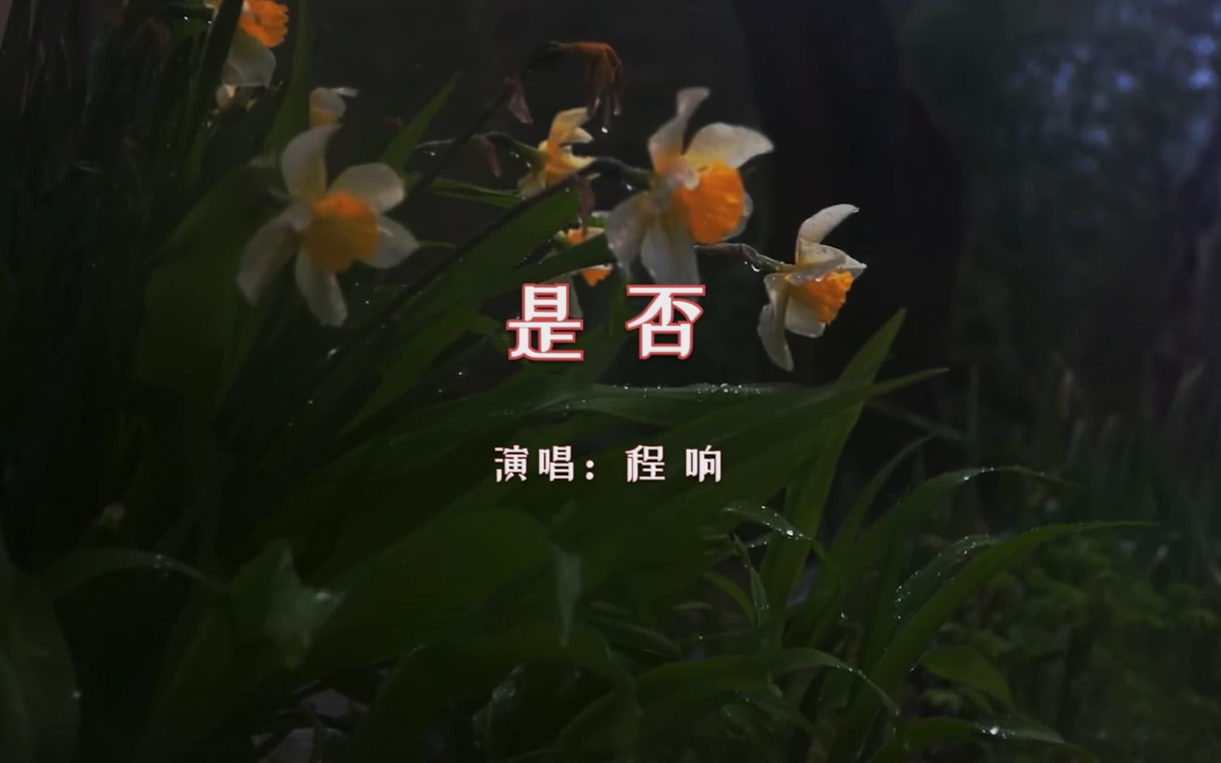 【音乐】程响《是否》:是否是否你已把我遗忘,不然为何杳无音信、天各一方?是否你已把我珍藏,不然为何微笑总在装饰我的梦,留下绮丽的幻想?哔...