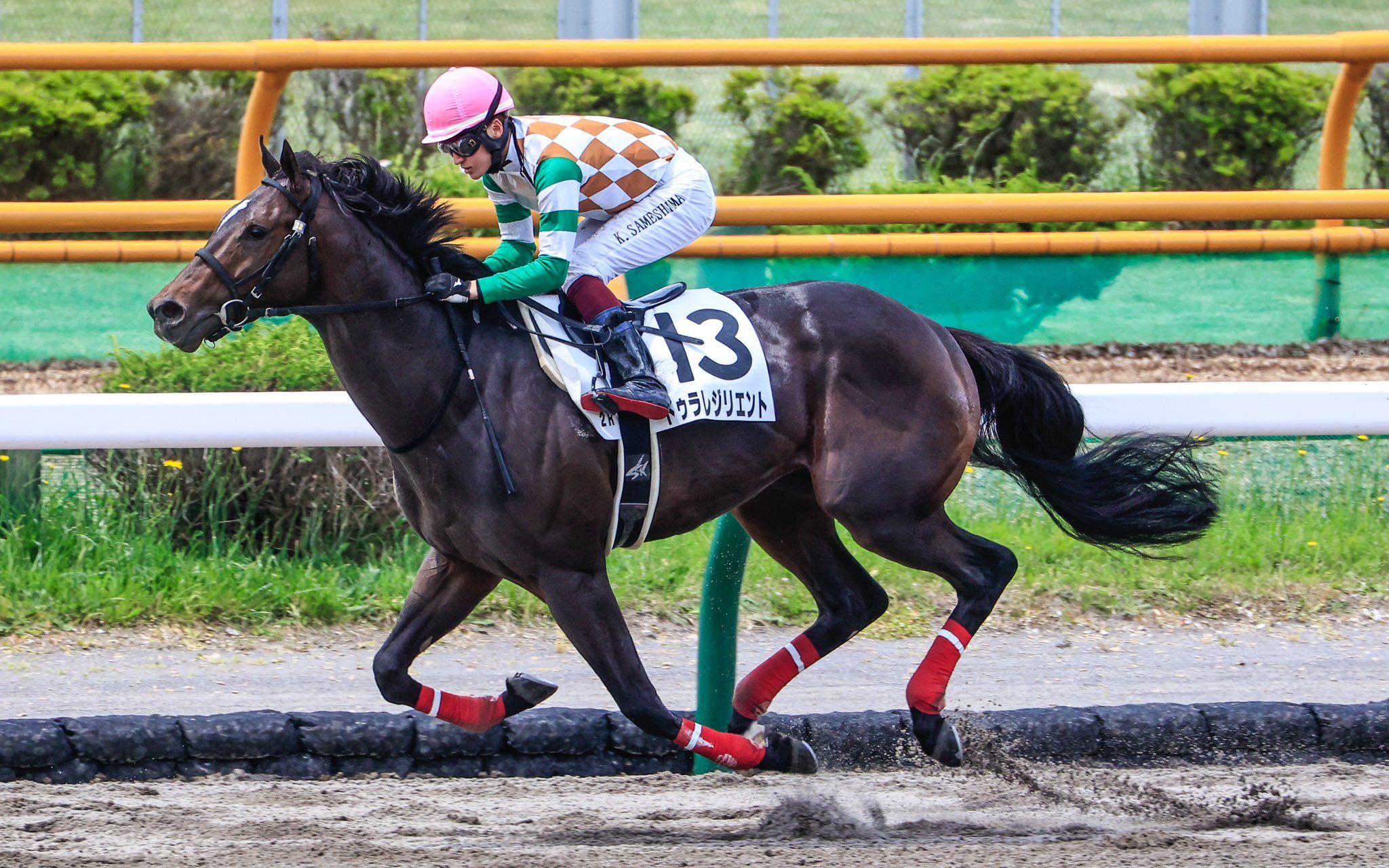 【日本赛马】6月11日 函馆2r 3岁未胜利 ドゥラレジリエント