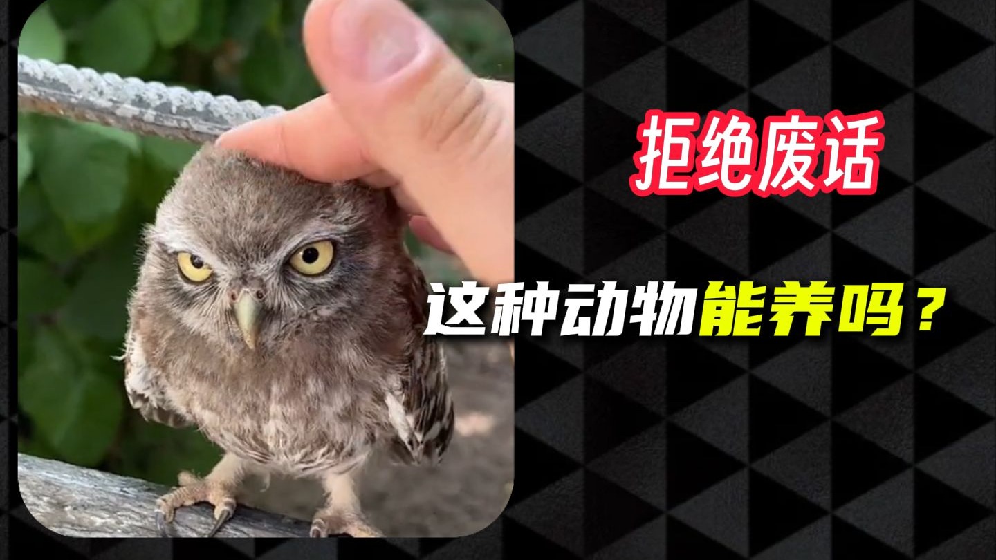 这些“牢底坐穿兽”你都认识吗