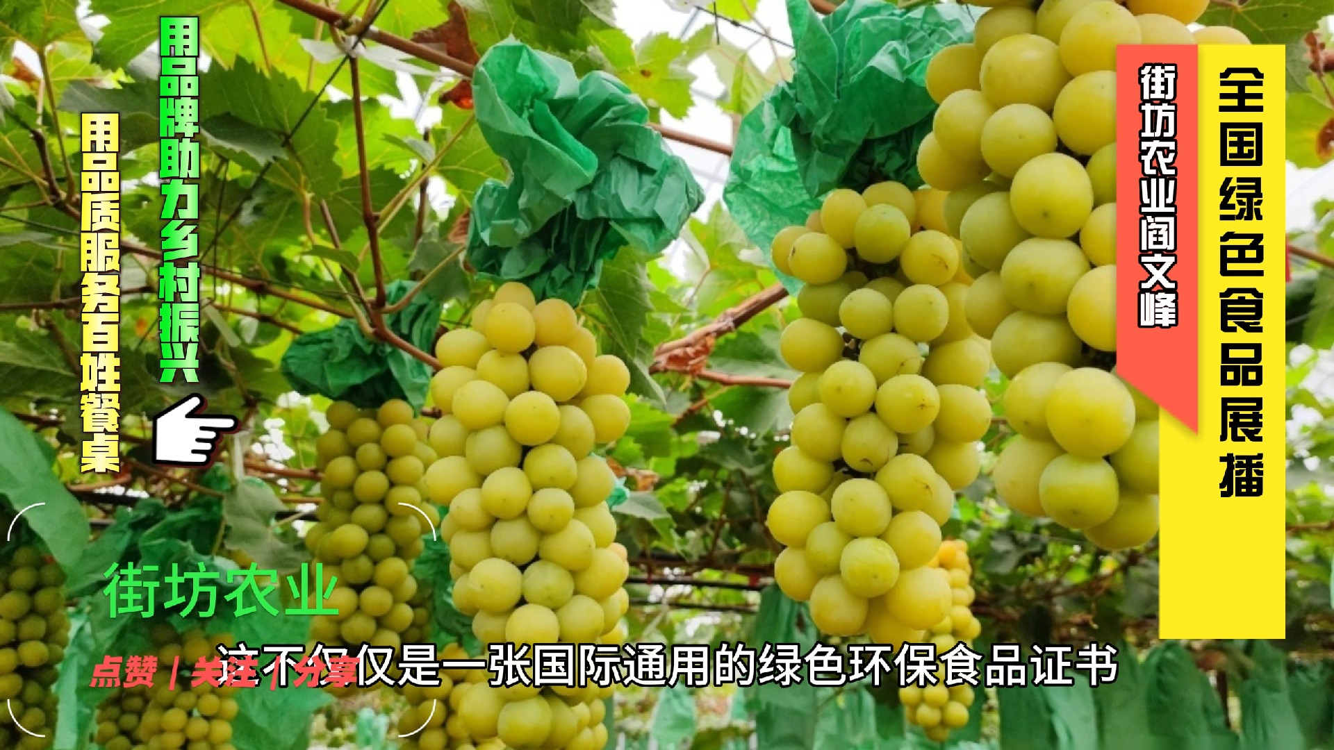 汉中裕美兴农科技农业有限公司的阳光玫瑰葡萄是绿色食品