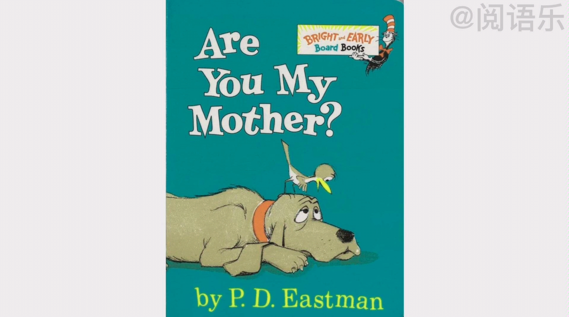 [图]【英语绘本双语解读】Are You My Mother? PD Eastman/你是我的妈妈吗？