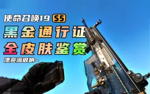 下载视频: 【4K60】晶莹剔透 ~ | 使命召唤19 S5 黑金通行证 | 全部蓝图皮肤鉴赏 21:9