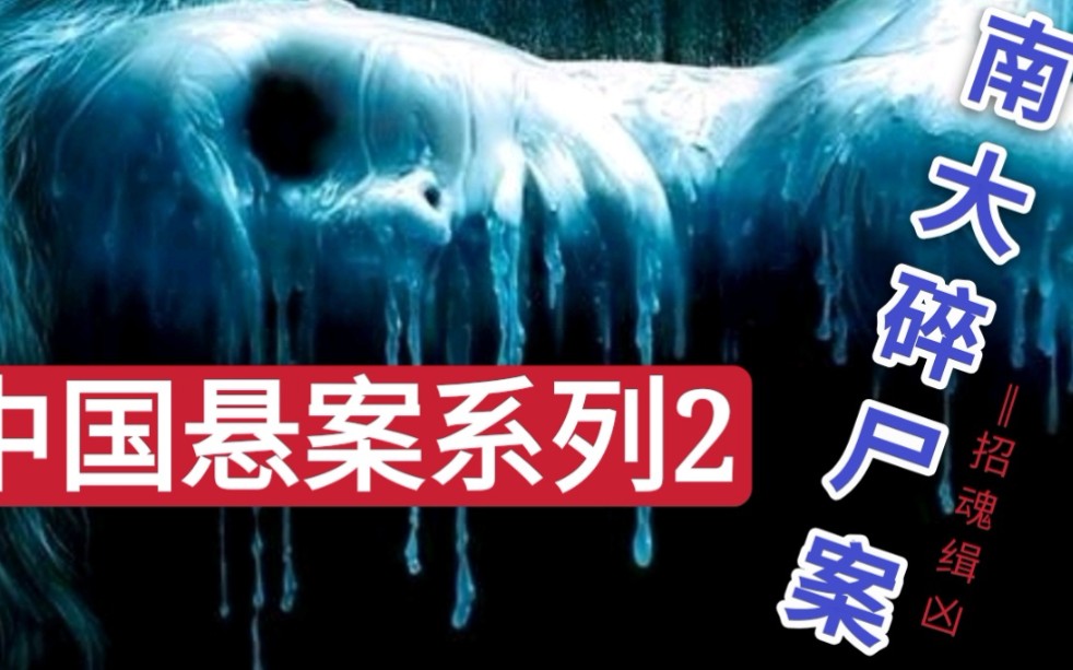 骇人的南大碎尸案:两千片人肉抛洒在大街,头颅和内脏叠放整齐!哔哩哔哩bilibili