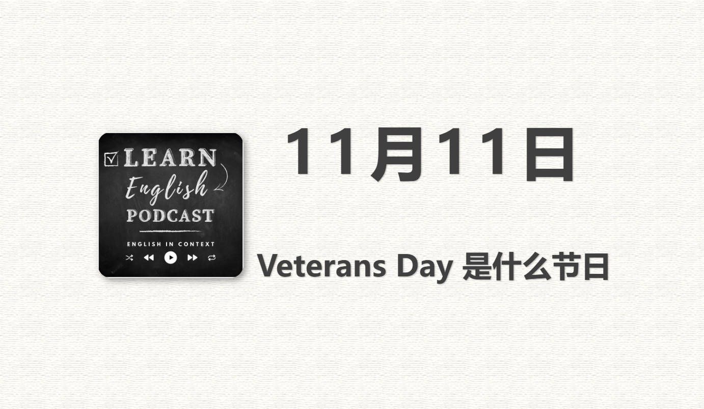 11月11日Veterans Day 是什么节日 |【Learn English Podcast】英语播客哔哩哔哩bilibili