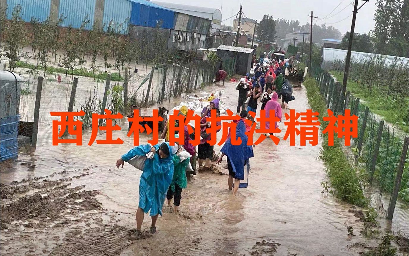 [图]【新乡暴雨】---西庄村的抗洪精神