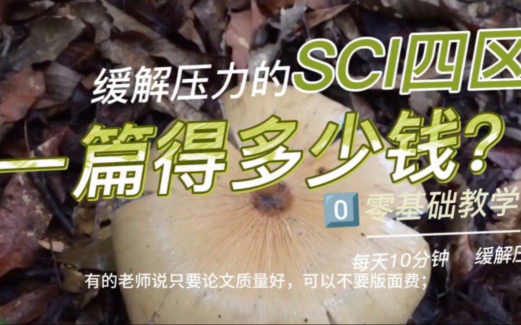 一篇sci四区花费得多少?哔哩哔哩bilibili