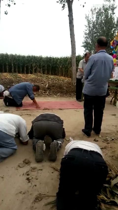 山东莘县农村丧葬习俗出殡路祭