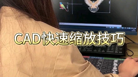 CAD快速缩放技巧哔哩哔哩bilibili