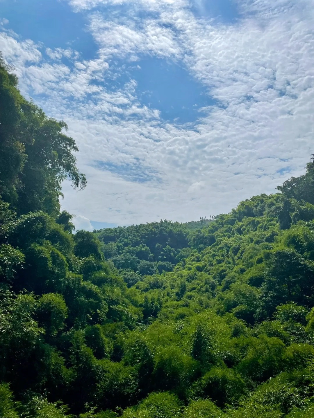 写作可以让当下时间静止,也可以超越未来时间.写作,以一切未知为对象,又在未知中创造一切.写作,最初是“创造”,然后是“毁灭”,写作“不存在...