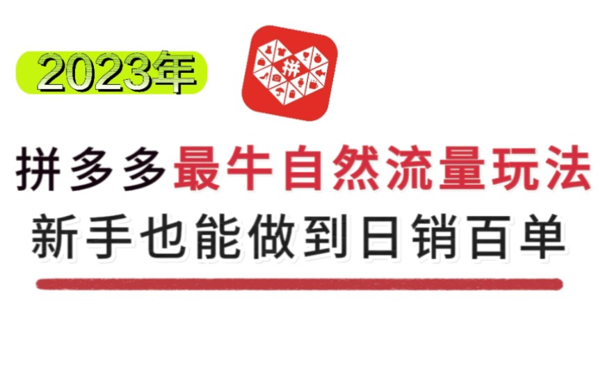 23年最牛自然流量玩法,新手也能做到日销百单!哔哩哔哩bilibili