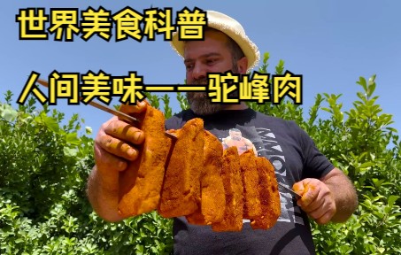 世界美食科普人间美味——驼峰肉哔哩哔哩bilibili