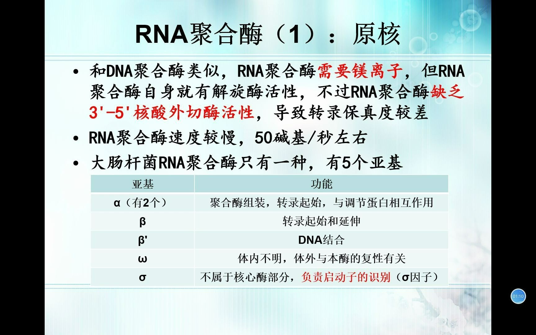 生物竞赛难点14分子生物学RNA聚合酶与启动子哔哩哔哩bilibili